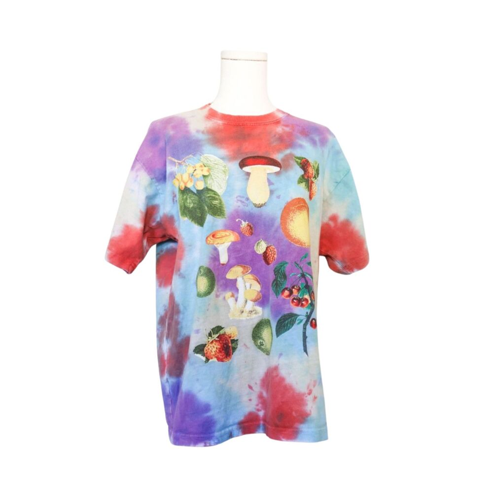 OBEY Fruits & Mushrooms Tie Dye T-Shirt Small